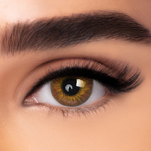 Load image into Gallery viewer, STYLE BLENDS + Case Kit
