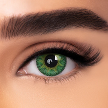 Load image into Gallery viewer, STYLE BLENDS + Case Kit
