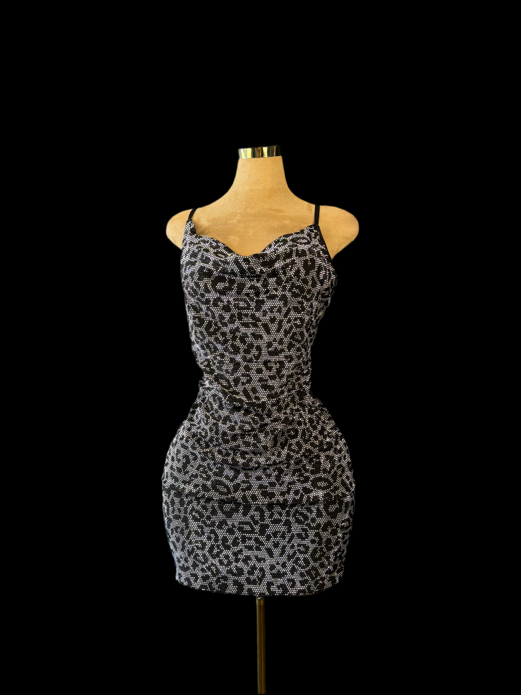 Curvy Wild Elegance Dress