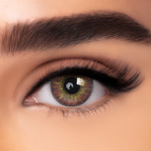Load image into Gallery viewer, STYLE BLENDS + Case Kit
